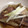 まーきー♪'s cooksnap of when they made 鯛のアラとごぼうの煮物.