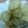 プチベリー's cooksnap of when they made ポテトのチーズのせ☆とろっとろ～.
