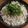 きよやよ's cooksnap of when they made ご飯が止まらない！胡麻しそ香るしらす丼♪.
