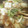 かりあん's cooksnap of when they made 白菜とエノキダケのくたくた煮.
