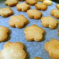 Bom's cooksnap of when they made 簡単！袋で！メープルクッキー.