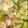クックTP9NL8☆'s cooksnap of when they made ☆きゅうりとレタスのツナサラダ☆.