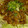 yuminmi's cooksnap of when they made 簡単♪我が家の焼肉丼!.