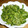 unmsj's cooksnap of when they made ゴーヤのほんだし炒め.