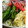 ais's cooksnap of when they made 冷やし中華のタレ.
