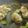 dancemacab's cooksnap of when they made たれ　焼き鳥　フライパンでお店の味！.