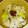 むーみっと's cooksnap of when they made 温まる☆サツマ芋とショウガの炊き込みご飯.