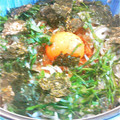 BYU's cooksnap of when they made 夏休みのお昼に！簡単絶品のしらす丼♪.
