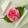 ミキティ♥三姉妹ママ's cooksnap of when they made 薔薇でかまぼこ、酒のおつまみ.