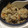 comomo15's cooksnap of when they made めんつゆで☆簡単きのこの炊き込みごはん.