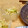 ひぽぽたむす's cooksnap of when they made もやしと胡瓜の胡麻酢和え♪.