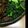 紺さん's cooksnap of when they made 春菊のナムル.
