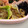 はなち…'s cooksnap of when they made ほうれん草のおひたし.