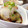 じゃり・ろぜりすと's cooksnap of when they made ナスの揚げない焼きびたし.