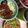 ＭＯＭＯパンダ's cooksnap of when they made まかない料理　メンチかつ丼.