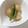 メルティローズ's cooksnap of when they made 里芋の煮物.