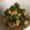 ★minisao★'s cooksnap of when they made オクラとクリームチーズのねっとり和え.