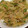 うでぃぉ's cooksnap of when they made タマネギとピーマンのツナ炒め.
