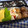 ととろ＆めい's cooksnap of when they made うずらの卵の肉巻き☆☆.