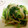 373あき's cooksnap of when they made ほうれん草と玉ねぎのアンチョビ炒め.