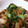 いおこと's cooksnap of when they made すぐ出来る！ちくわと青梗菜の炒め物.