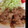ロンＰ's cooksnap of when they made 生姜焼きのタレ.