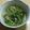 ☆toshimin☆'s cooksnap of when they made 栄養ヤバイ!わさび香る三つ葉のおひたし！.