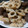 雪ん子ぶた's cooksnap of when they made サクサク蓮根のごま油炒め塩七味和え.