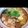 べっきー☆'s cooksnap of when they made 鮭とじゃがいも団子の味噌鍋（石狩鍋風）.