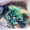 meiyui's cooksnap of when they made パパの鰻丼より旨い？鯵の蒲焼丼.