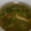 fu♪♪'s cooksnap of when they made 10分で完成♪豆苗とハムのコンソメスープ.