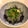 tt513's cooksnap of when they made 海の輝き（生しらす）丼.