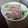 38ぴち's cooksnap of when they made きのことベーコンのサラダ.