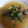 にゃしち27's cooksnap of when they made 小あじの唐揚げ♪みぞれあんかけ汁.