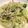 なーつ★'s cooksnap of when they made 茸のクリームジェノバスパゲティ.
