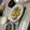 カナー's cooksnap of when they made 豚肉のオイスター野菜炒め.