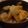 hedm's cooksnap of when they made 豚汁.