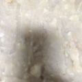 てふ＊てふ's cooksnap of when they made 粉末寒天で芋羊羹　I.