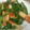 fulface22's cooksnap of when they made ピーマンとちくわのきんぴら.