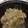 momonga:3's cooksnap of when they made きのこと秋鮭の炊き込みご飯.