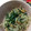 shibaゆー's cooksnap of when they made ニラともやしの和物.