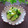 まろんかふぇ's cooksnap of when they made 白だしで簡単漬けもの☆.