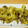 emikkoママ's cooksnap of when they made ☆さつまいものバター炒め☆.