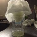 きえも's cooksnap of when they made 簡単水切りヨーグルト製造容器.