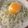 yasukota's cooksnap of when they made しらす うどん　（ク ・ 普　共通）.