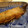 urarara's cooksnap of when they made 子持ちカレイの煮付け.