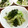 すぎはやみ's cooksnap of when they made ＊キャベツとほうれん草の胡麻和え＊.
