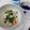 ☆★ケイト★☆'s cooksnap of when they made 簡単！鮭の白子ＤＥお酒が進むポン酢和え♪.