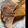 はすっ！'s cooksnap of when they made 圧力鍋で!!煮豚　♪.