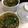 suiichon's cooksnap of when they made 中華風あんかけ茶碗蒸し.